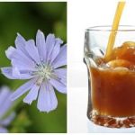 Cara mudah memb kvass dari sawi putih di rumah: resep