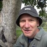 Pohon yang berlubang bukanlah seb penghakiman: cara yang telah terbukti