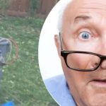 Tem aneh di dekat pohon itu memb tetangganya bingung: rahasia